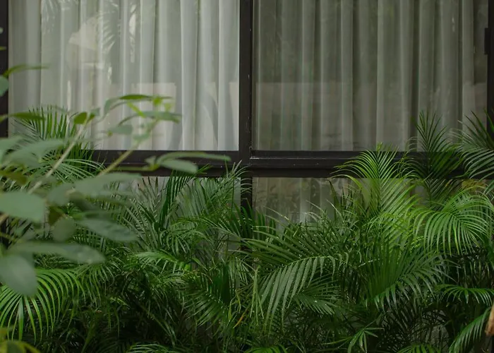 Nomad Humans Coliving Apartment *