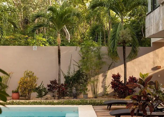 Nomad Humans Coliving Tulum