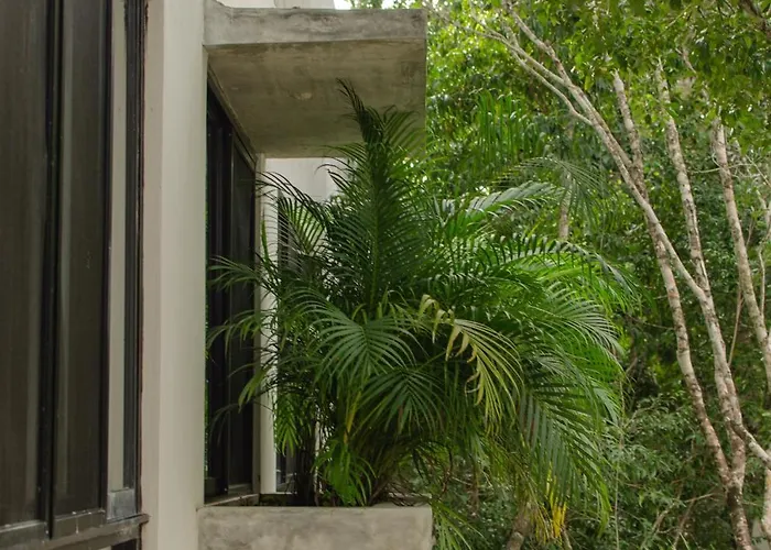 Apartment Nomad Humans Coliving