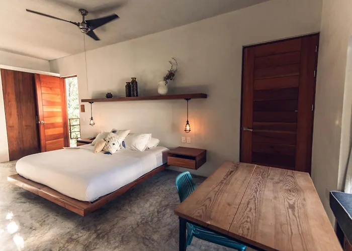 Nomad Humans Coliving Appartement
